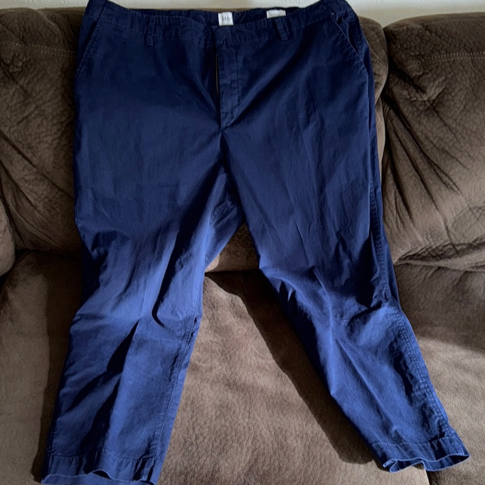 GAP Women’s Navy Pants